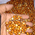 Butiran KAYU SECANG BRAHMA 10 mm BY MAKRIFATBUSINESS