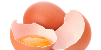 Manfaat Kulit Telur: Membasmi Tikus dan Kecoa
