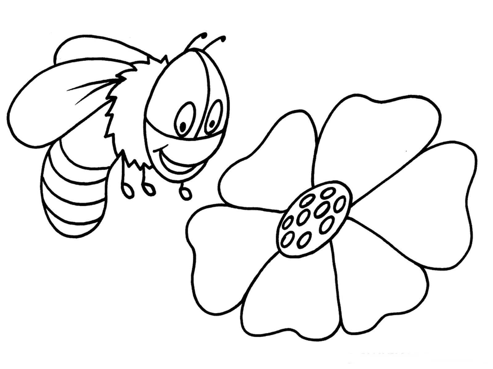 Bees Coloring Pages Realistic  Realistic Coloring Pages