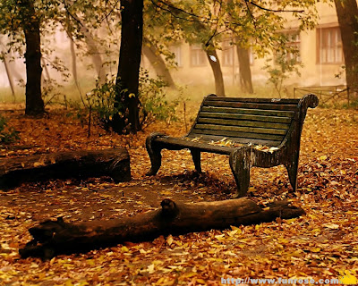 Autumn Wallpaper HD Widescreen Desktop