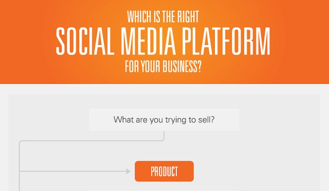 Image: Which is the Right Social Media Platform For Your Business?