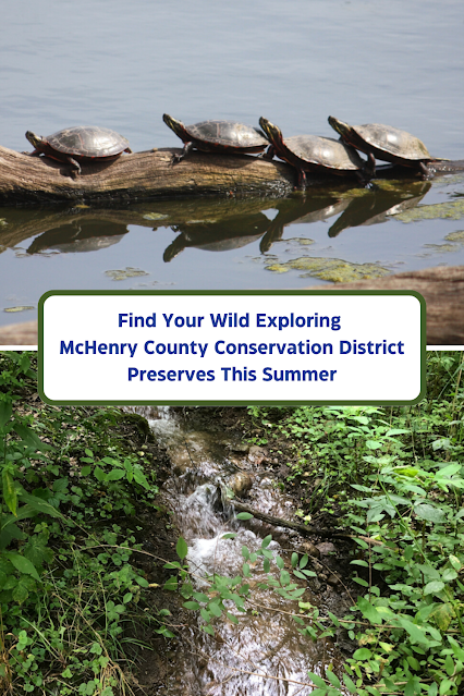 Find Your Wild Exploring McHenry County Conservation District Preserves This Summer