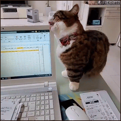 Funny Cat GIF • Proof No. 24 that working from home with cats is an impurrssible mission! [ok-cats.com]