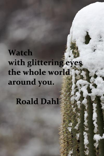 Watch with glittering eyes the whole world around you.

