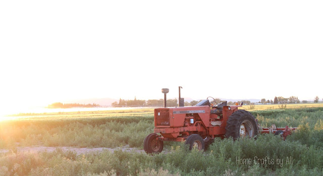 tractor in the sunlight