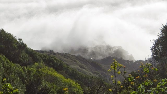 DSCN0745
