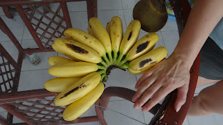 Какие маленькие бананы 