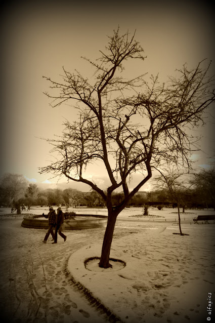 St. Stephen's green con la neve-Dublino