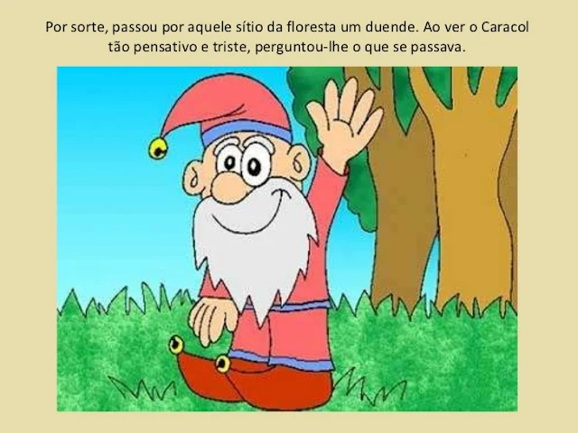 O carnaval na floresta