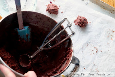 Roasted beets in a tender and chocolatey crinkle cookie.