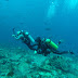 Crystal Rock Komodo Adventure Diving