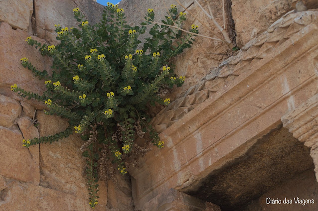 O que visitar em Jerash, Roteiro Jordânia