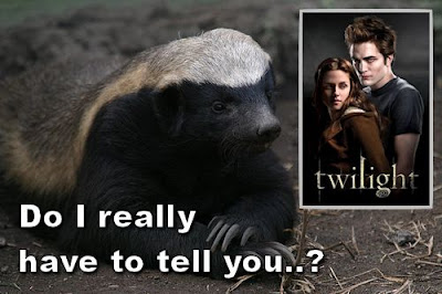 Honey Badger sharing his thoughts about Twilight