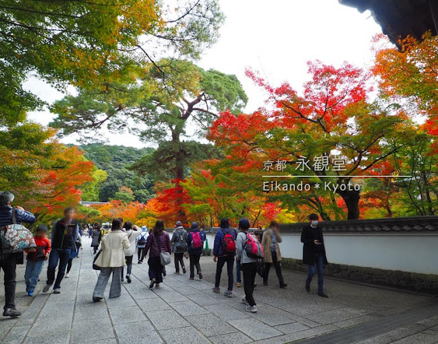 永観堂の総門から中門までの紅葉