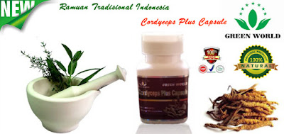 Bahaya Dan Efek Samping Cordyceps Plus Capsule