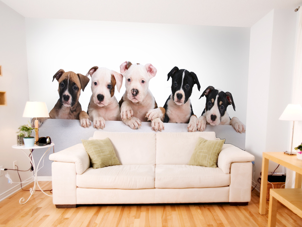 SALA CON FOTOMURAL DE PERROS by salasycomedores.blogspot.com