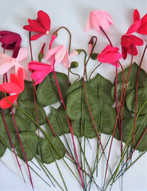 Crepe Paper Cyclamen