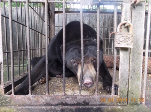 Zoo Neraka Paling Kejam Di Dunia Yang Terletak Di Indonesia