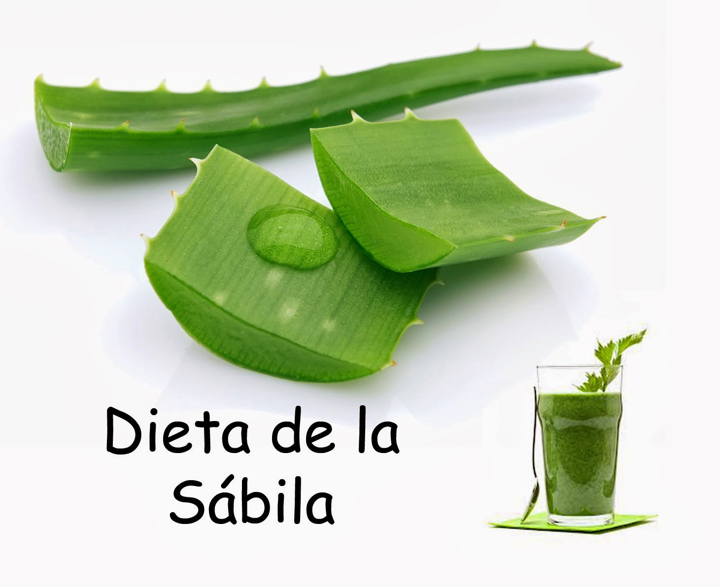 DIETA DE LA SÁBILA SIN BAJAR DE PESO