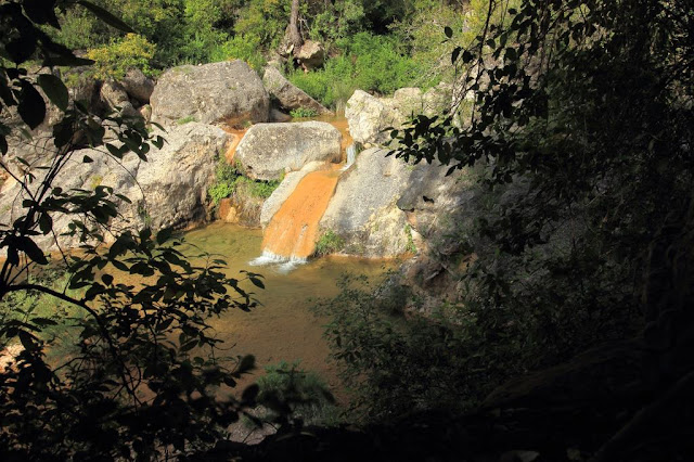 Gorg de la Gorguina (Gorgs de la Febró)