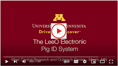 YouTube screen of start of The Lee) Electronic PIG ID video.
