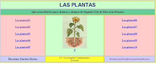  Las plantas