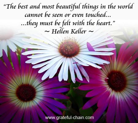 beautiful quotes on life wallpapers. quotes on life is eautiful.