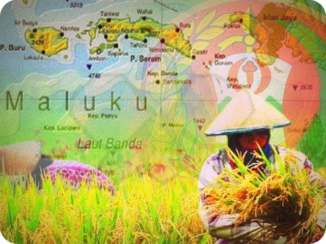 Nilai Tukar Petani di Maluku Alami Kenaikan