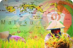 Nilai Tukar Petani di Maluku Alami Kenaikan