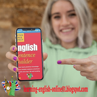 Practice Makes Perfect: English Sentence Builder pdf