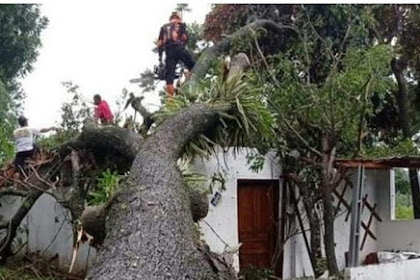 Puting Beliung di Klaten: 20 Rumah Rusak Parah, 2 Orang Luka Tertimpa Pohon