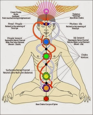 Chakras-e1308082206861