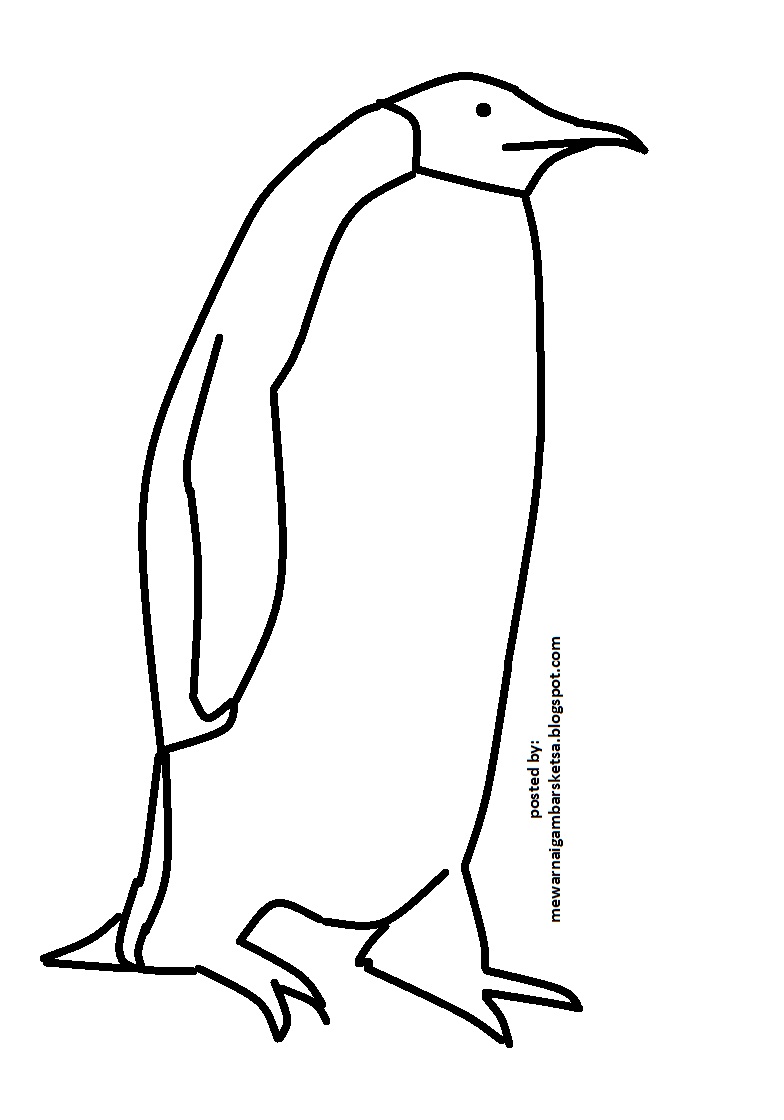 Koleksi Terpopuler 49 Gambar  Sketsa Hewan  Pinguin 