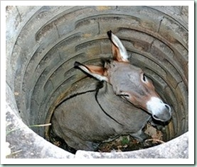 ass in pit