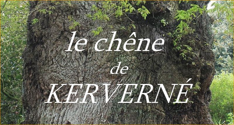 http://guemenesurscorff.blogspot.fr/2015/05/concours-arbre-de-lannee-le-chene-de.html