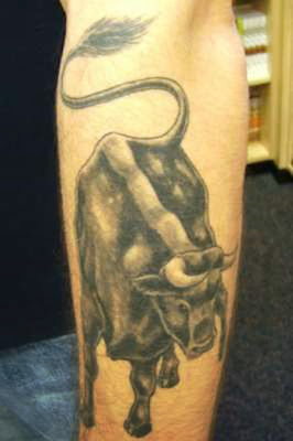 Bull Taurus Zodiac Tattoos