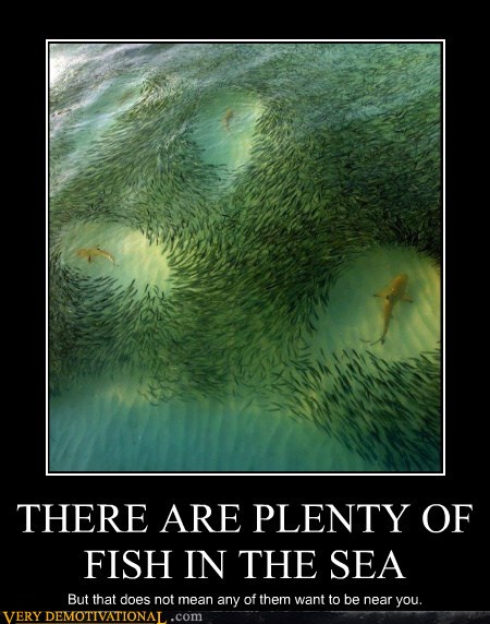 ...The anecdote of my life...: ...PlEnTy Of FiSh In ThE sEa...