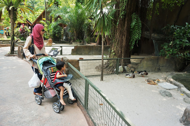 Gigih Bawak Budak Kena Simen Ke Blogger Event di Sunway Lagoon Themepark