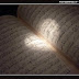 Pengaruh Membaca Al-Qur'an Ke Otak