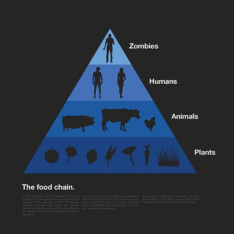 Pictures Of Food Chains. food chain meaning