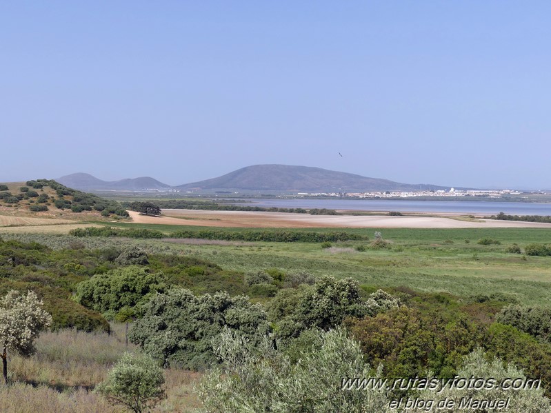 Laguna de Fuente de Piedra y Lagunas de Campillos