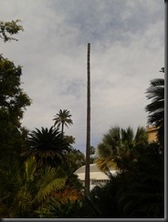 2013-04-09 11.51.24