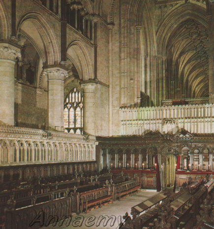 Canterbury Catt ved del coro