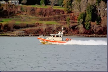 IMG_3738