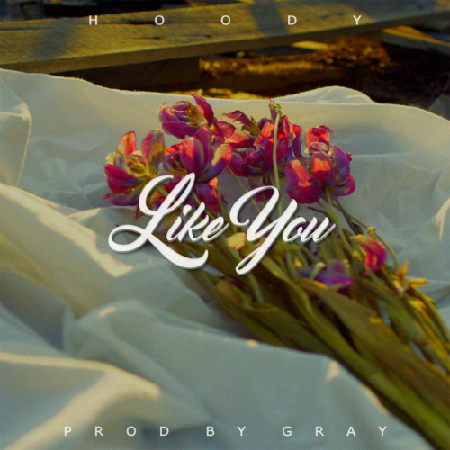 Hoody – Like You – Single