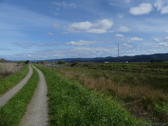 32: service road and view