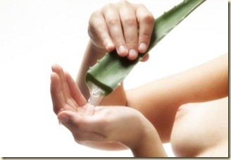 Productos para el Cabello con Aloe Vera2