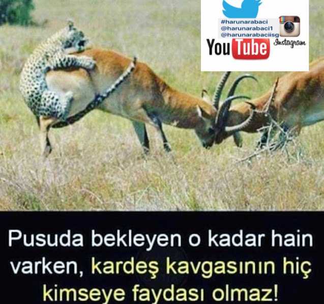 iş güvenliği, sosyalmedya,kocaeli çankırı, elektrik,#harunarabaci,