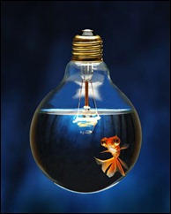 creativity