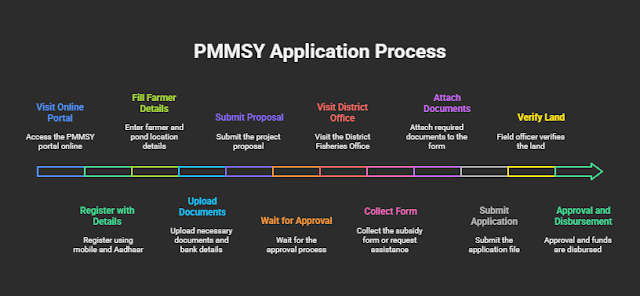 "Visual guide to online and offline application steps for PMMSY"